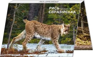 Чорнобиль. Відродження. Рись євразійська (у сувенірній упаковці)