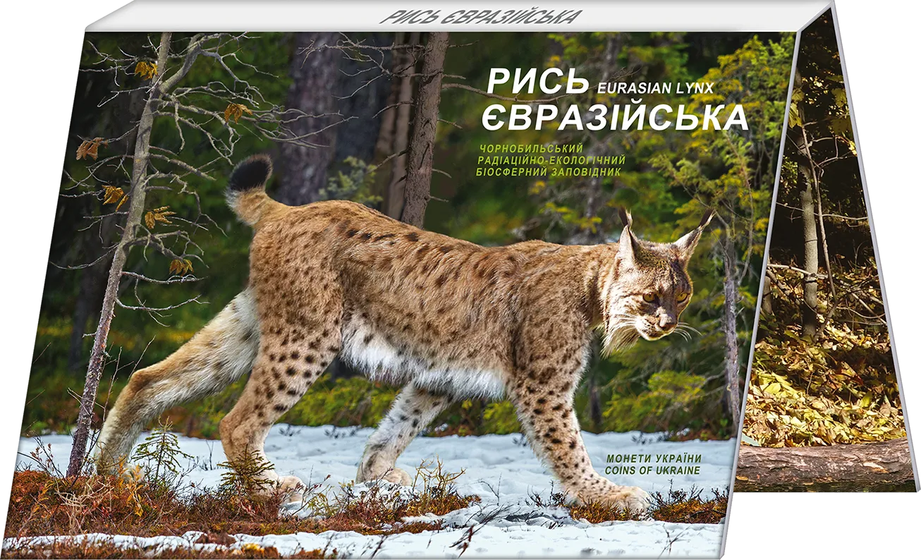 Чорнобиль. Відродження. Рись євразійська (у сувенірній упаковці), 5 грн, 2023 — аверс
