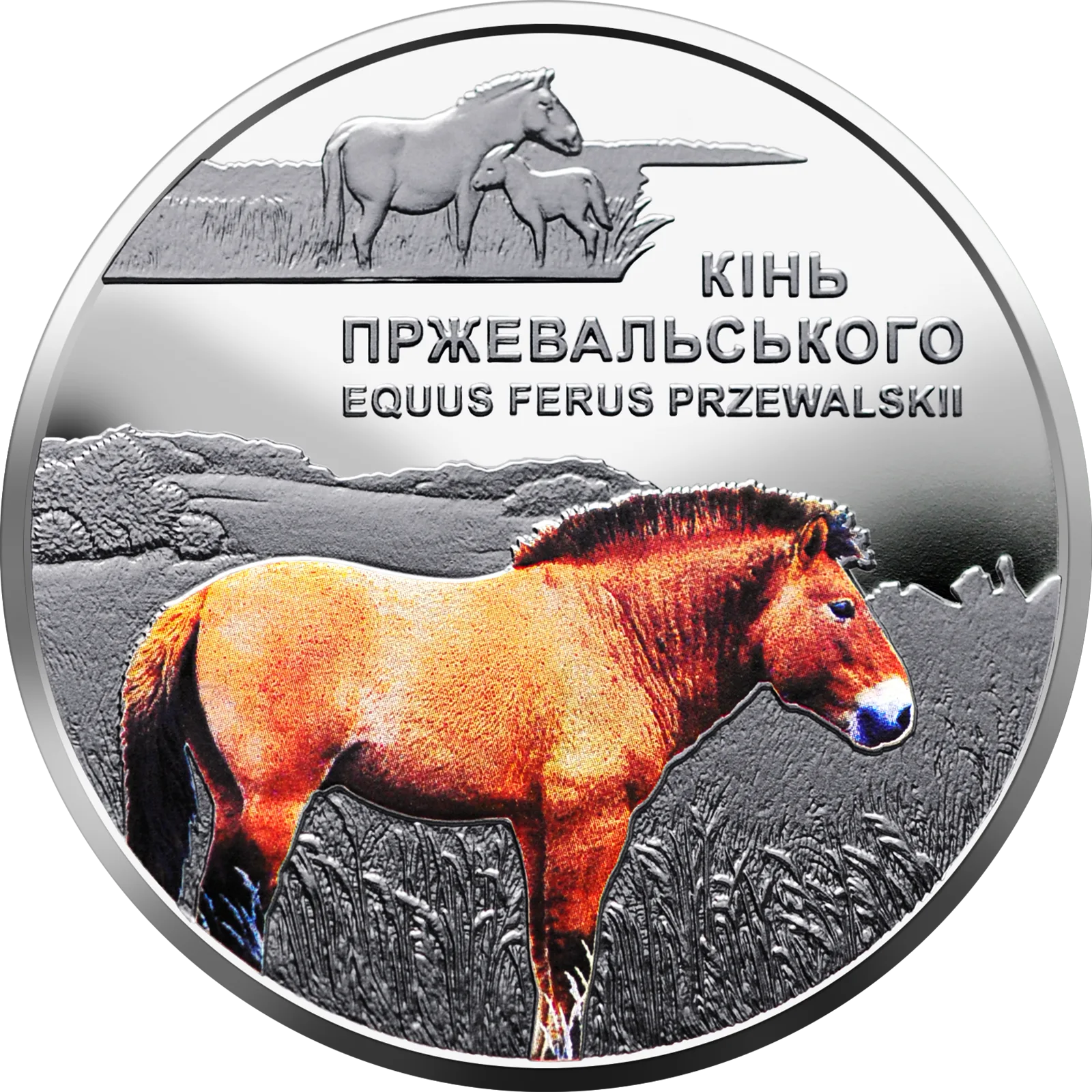Чорнобиль. Відродження. Кінь Пржевальського, 5 грн, 2021 — реверс