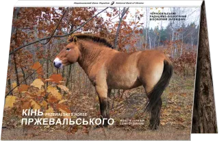 Чорнобиль. Відродження. Кінь Пржевальського у сувенірній упаковці