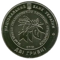 Чемпіонат світу з художньої гімнастики, 2 грн, 2013 — аверс