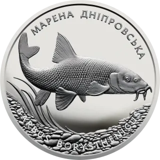 Марена дніпровська, 10 грн, 2018 — реверс