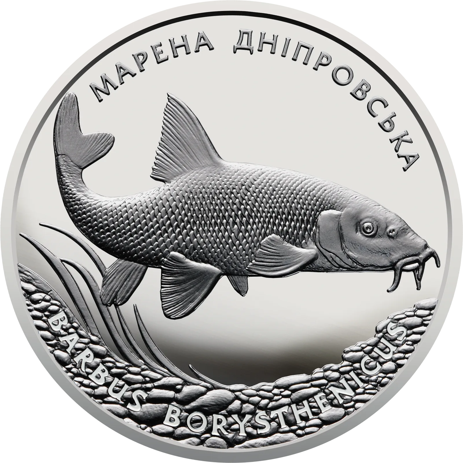 Марена дніпровська, 10 грн, 2018 — реверс