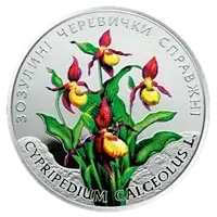 Зозулині черевички справжні, 2 грн, 2016 — реверс