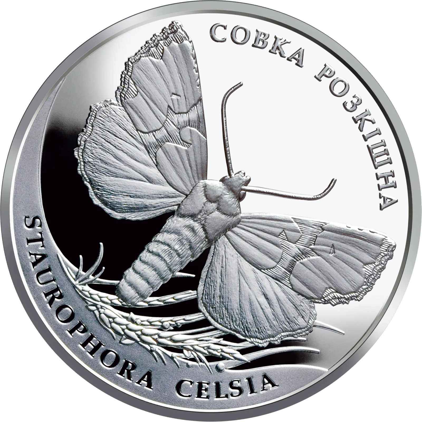Совка розкішна, 10 грн, 2020 — реверс