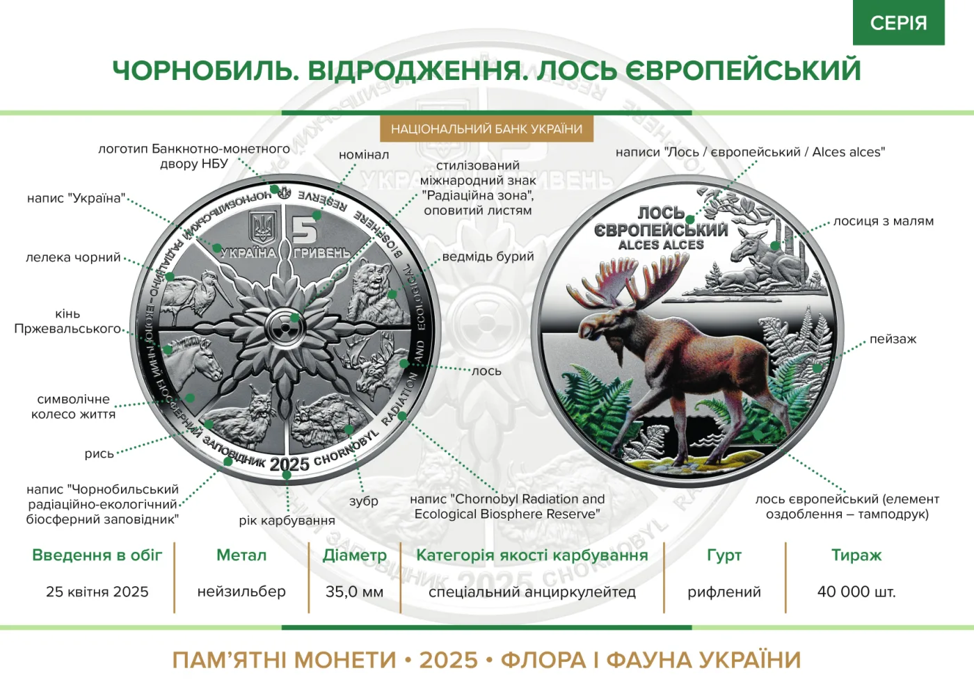 Чорнобиль. Відродження. Лось європейський у сувенірному пакованні, 5 грн, 2025 — буклет, сторінка 2