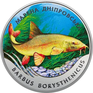 Марена дніпровська, 2 грн, 2018 — реверс