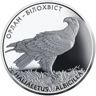 Орлан-білохвіст, 10 грн, 2019 — реверс