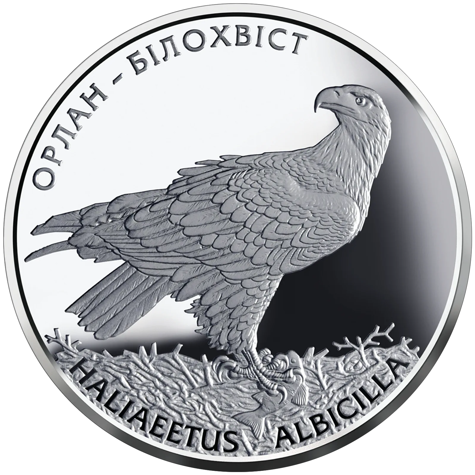 Орлан-білохвіст, 10 грн, 2019 — реверс