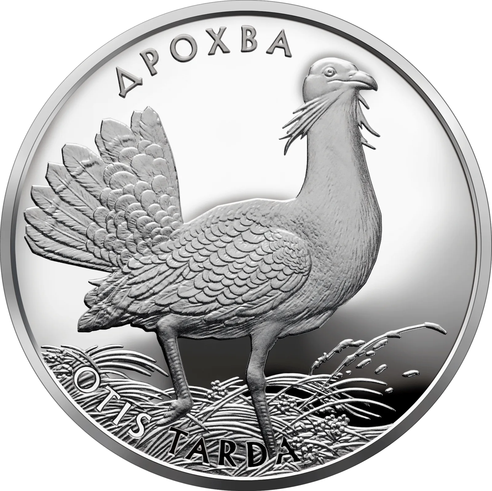 Дрохва, 10 грн, 2013 — реверс