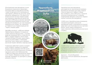 Чорнобиль. Відродження. Зубр у сувенірному пакованні, 5 грн, 2026 — буклет, сторінка 1