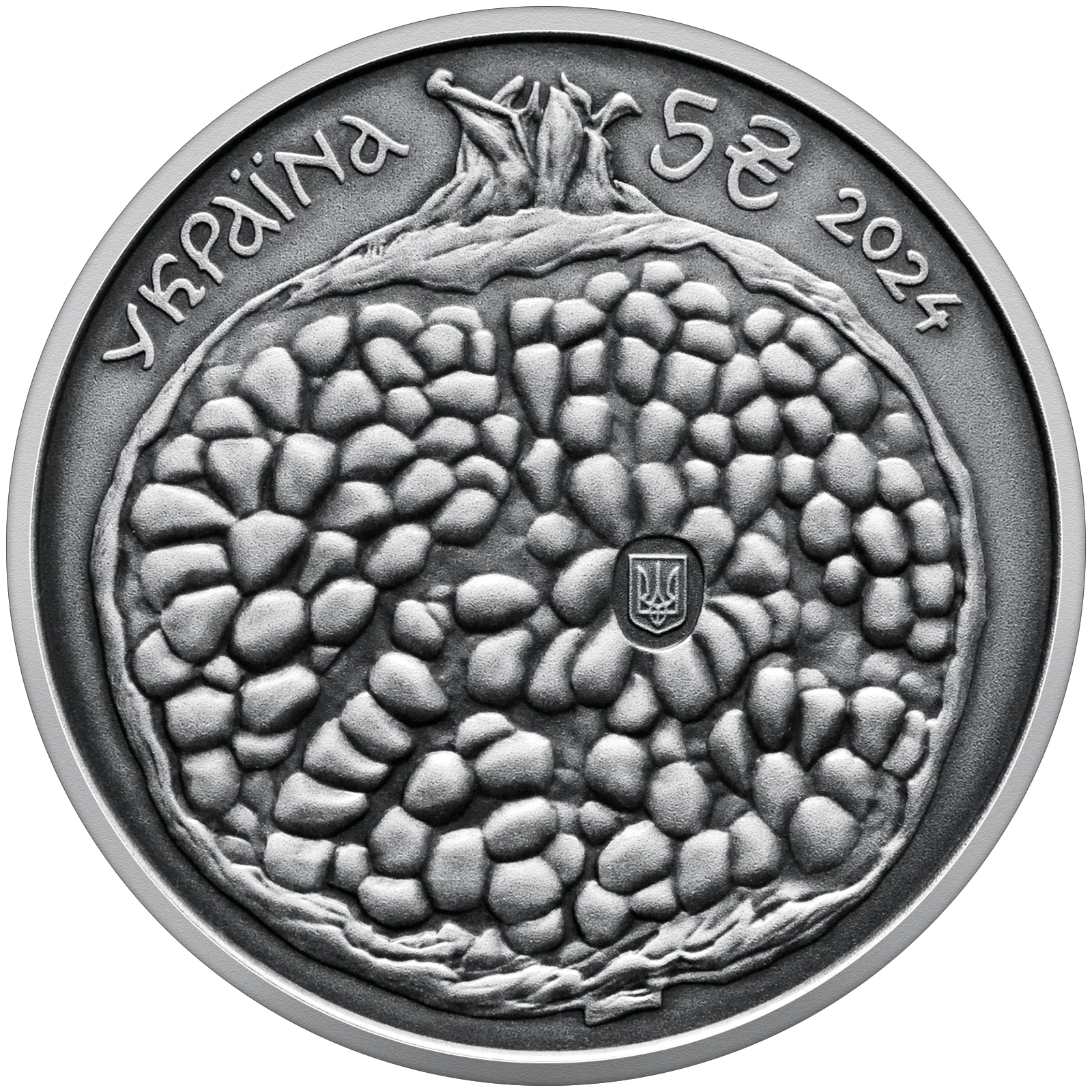 Сергій Параджанов, 5 грн, 2024 — аверс