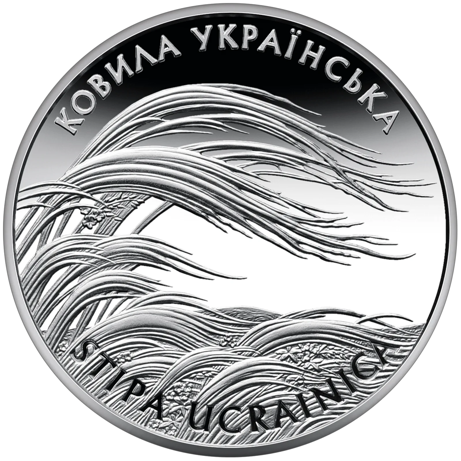 Ковила українська, 10 грн, 2010 — реверс