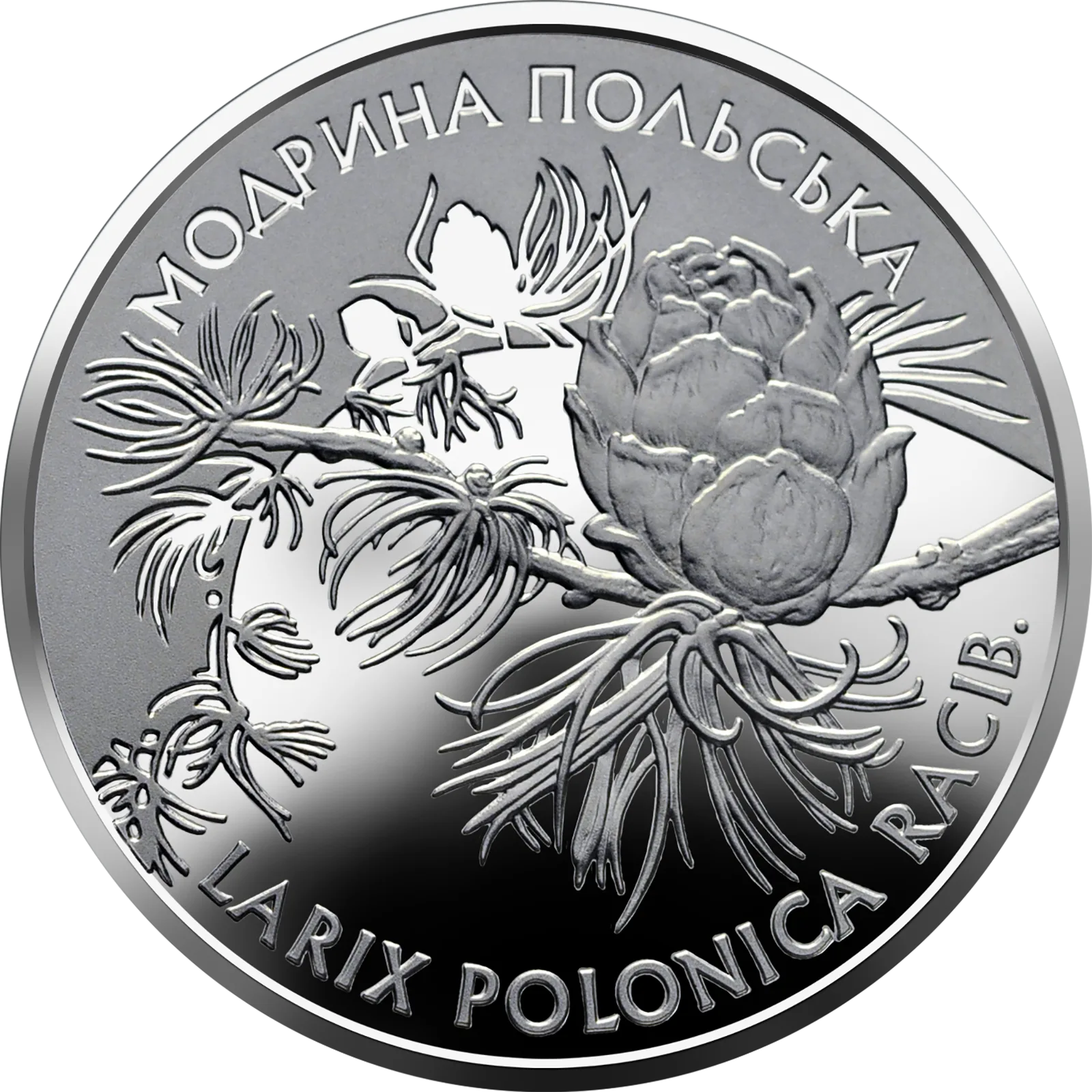 Модрина польська, 2 грн, 2001 — реверс
