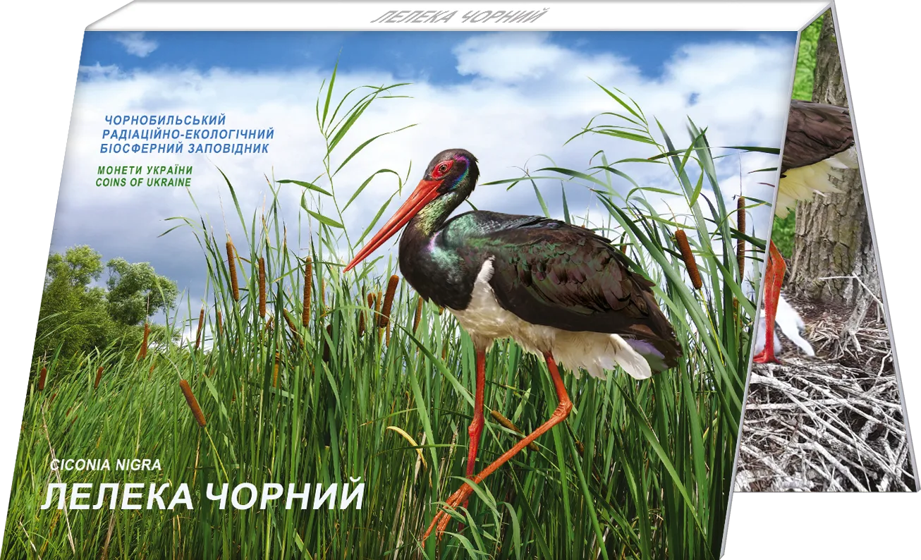 Чорнобиль. Відродження. Лелека чорний у сувенірному пакованні, 5 грн, 2024 — аверс