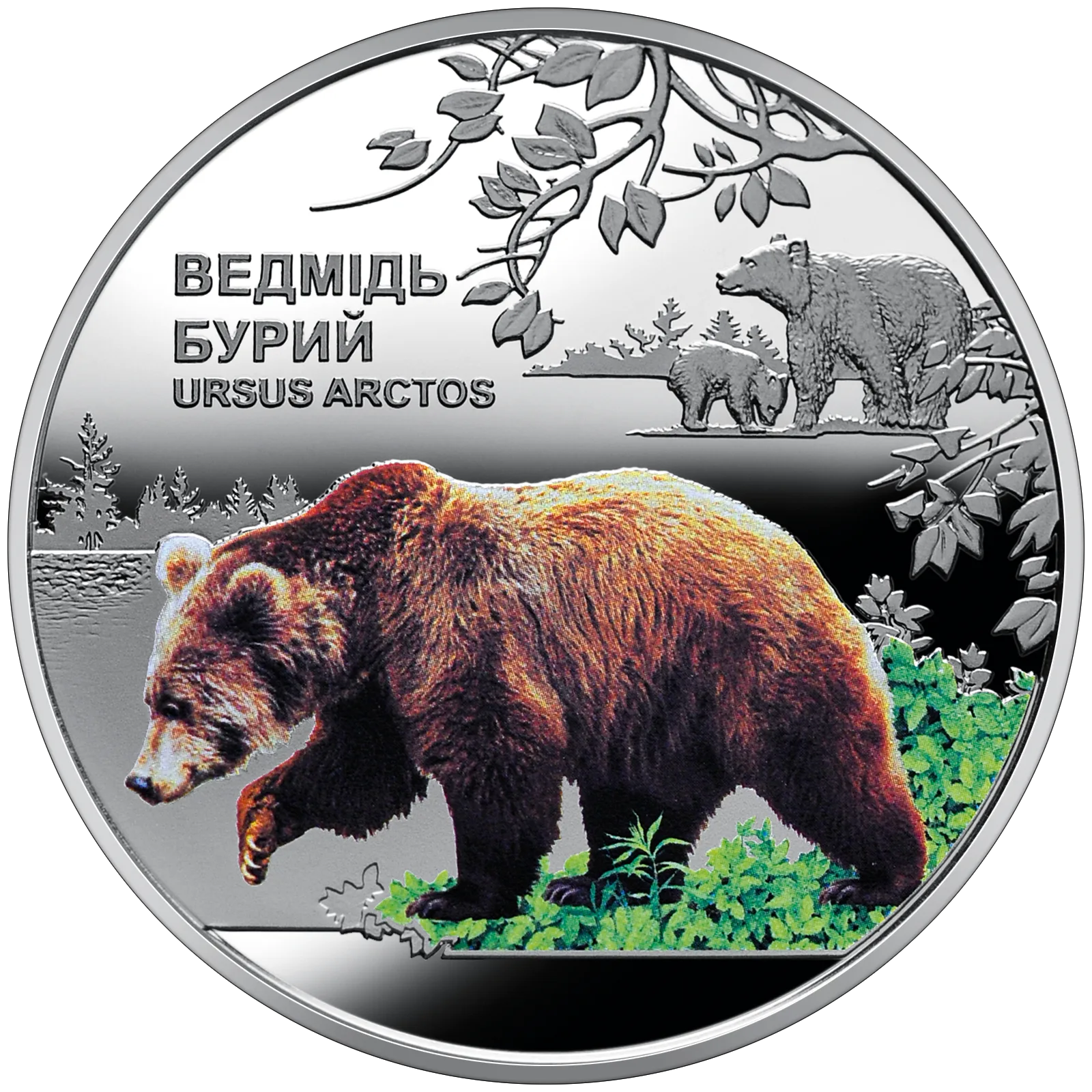 Чорнобиль. Відродження. Ведмідь бурий, 5 грн, 2022 — реверс