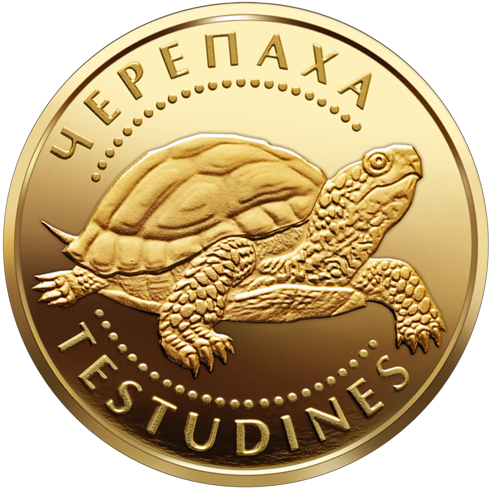Черепаха, 2 грн, 2009 — реверс