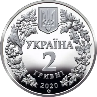 Совка розкішна