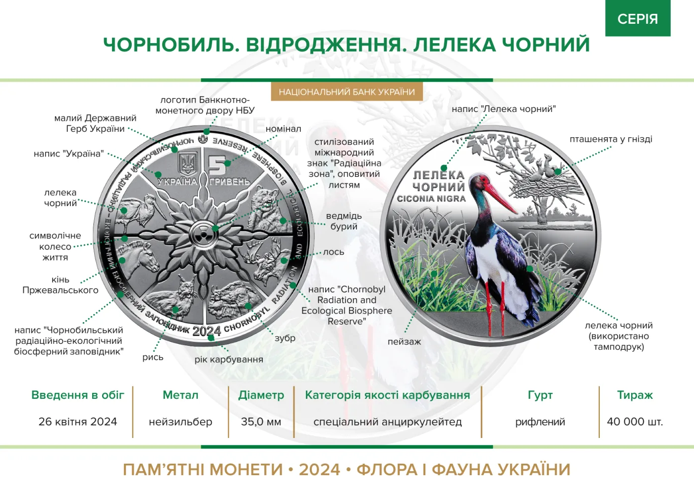 Чорнобиль. Відродження. Лелека чорний, 5 грн, 2024 — буклет, сторінка 2